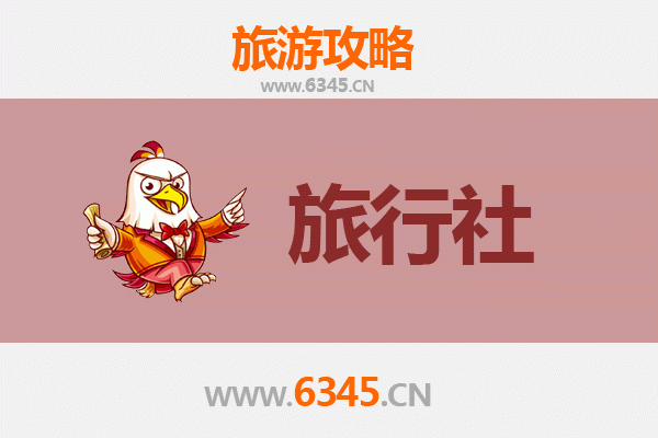 双鸭山宝清旅行社全攻略：本地优质旅行社推荐及旅行指南